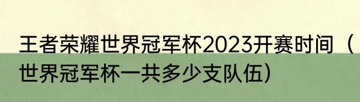 王者荣耀世界冠军杯2023开赛时间（世界冠军杯一共多少支队伍）