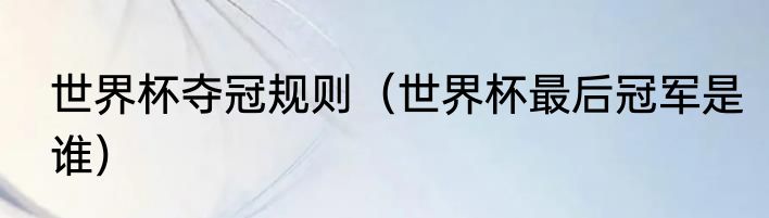 世界杯夺冠规则（世界杯最后冠军是谁）