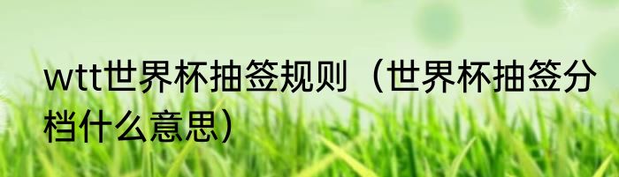wtt世界杯抽签规则（世界杯抽签分档什么意思）