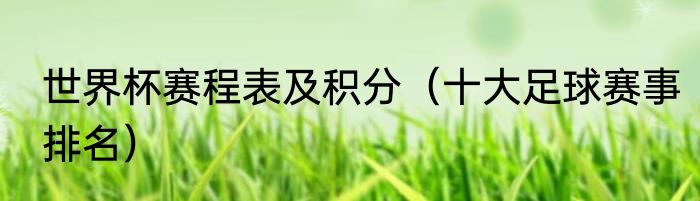 世界杯赛程表及积分（十大足球赛事排名）