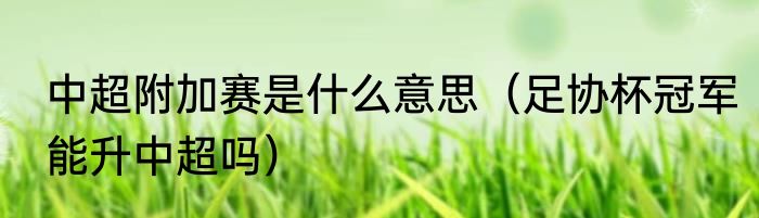 中超附加赛是什么意思（足协杯冠军能升中超吗）