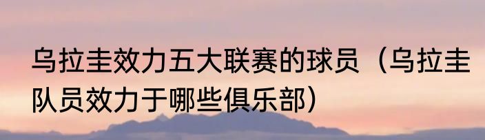 乌拉圭效力五大联赛的球员（乌拉圭队员效力于哪些俱乐部）