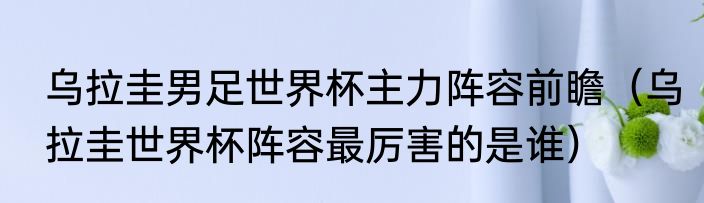 乌拉圭男足世界杯主力阵容前瞻（乌拉圭世界杯阵容最厉害的是谁）