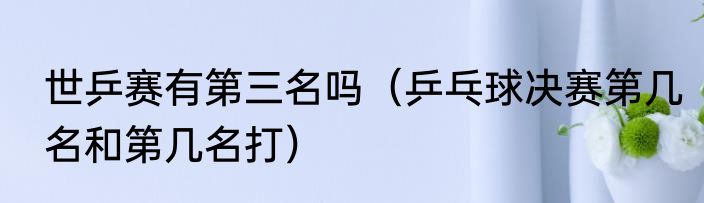 世乒赛有第三名吗（乒乓球决赛第几名和第几名打）