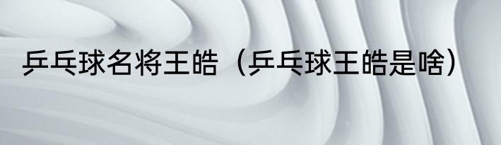 乒乓球名将王皓（乒乓球王皓是啥）