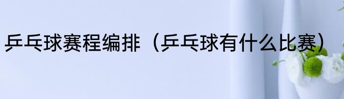 乒乓球赛程编排（乒乓球有什么比赛）