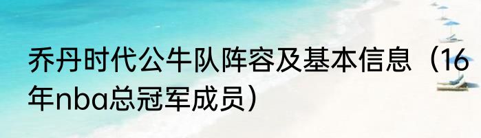 乔丹时代公牛队阵容及基本信息（16年nba总冠军成员）