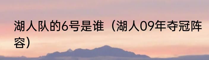 湖人队的6号是谁（湖人09年夺冠阵容）