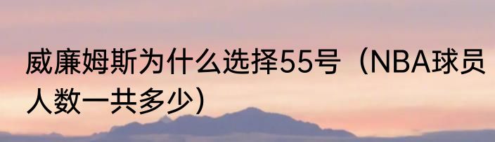 威廉姆斯为什么选择55号（NBA球员人数一共多少）