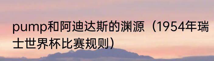 pump和阿迪达斯的渊源（1954年瑞士世界杯比赛规则）