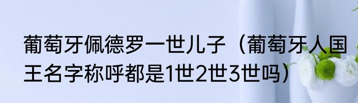 葡萄牙佩德罗一世儿子（葡萄牙人国王名字称呼都是1世2世3世吗）