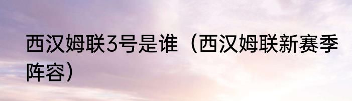 西汉姆联3号是谁（西汉姆联新赛季阵容）
