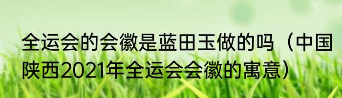 全运会的会徽是蓝田玉做的吗（中国陕西2021年全运会会徽的寓意）