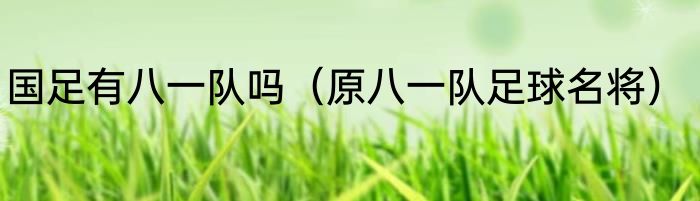 国足有八一队吗（原八一队足球名将）