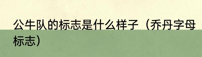 公牛队的标志是什么样子（乔丹字母标志）