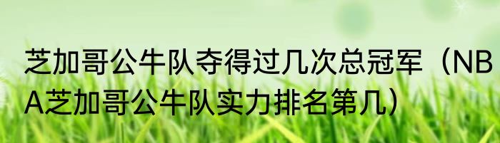 芝加哥公牛队夺得过几次总冠军（NBA芝加哥公牛队实力排名第几）