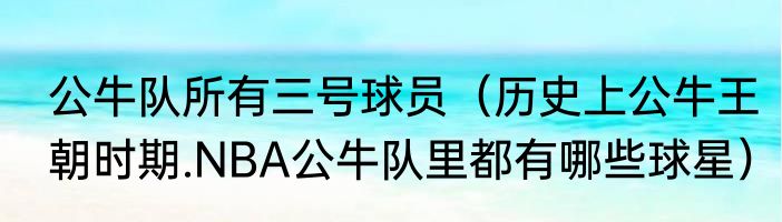 公牛队所有三号球员（历史上公牛王朝时期.NBA公牛队里都有哪些球星）