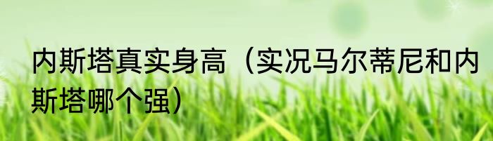 内斯塔真实身高（实况马尔蒂尼和内斯塔哪个强）