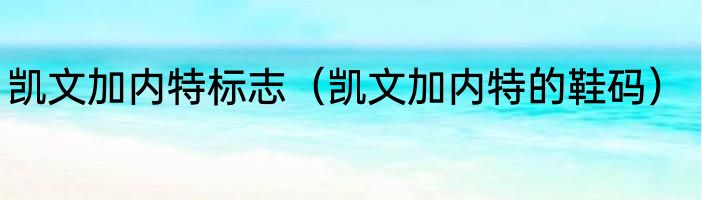 凯文加内特标志（凯文加内特的鞋码）