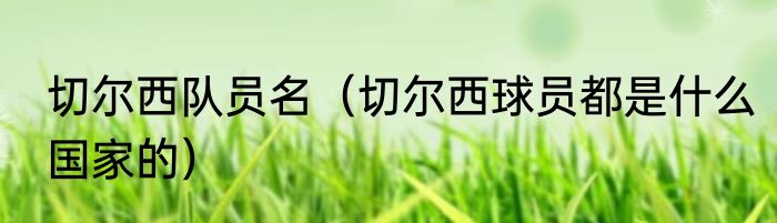 切尔西队员名（切尔西球员都是什么国家的）