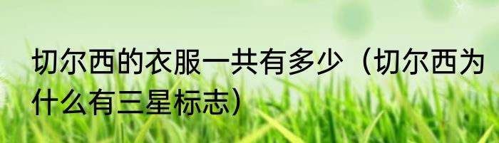 切尔西的衣服一共有多少（切尔西为什么有三星标志）