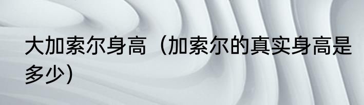 大加索尔身高（加索尔的真实身高是多少）