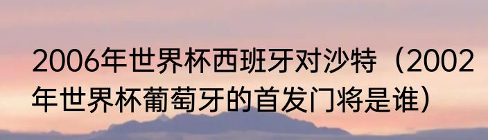 2006年世界杯西班牙对沙特（2002年世界杯葡萄牙的首发门将是谁）