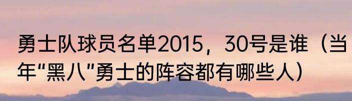勇士队球员名单2015，30号是谁（当年“黑八”勇士的阵容都有哪些人）