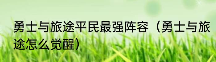 勇士与旅途平民最强阵容（勇士与旅途怎么觉醒）