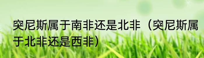 突尼斯属于南非还是北非（突尼斯属于北非还是西非）