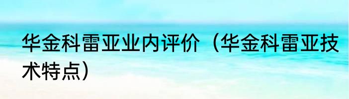 华金科雷亚业内评价（华金科雷亚技术特点）