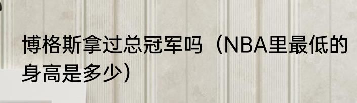 博格斯拿过总冠军吗（NBA里最低的身高是多少）