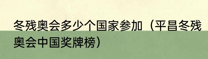 冬残奥会多少个国家参加（平昌冬残奥会中国奖牌榜）