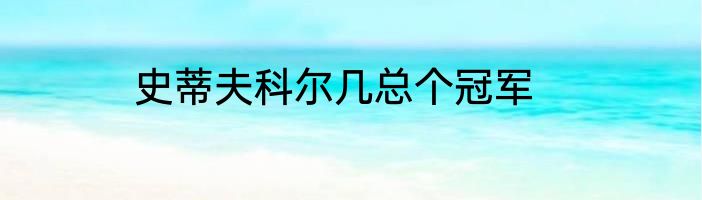 史蒂夫科尔几总个冠军