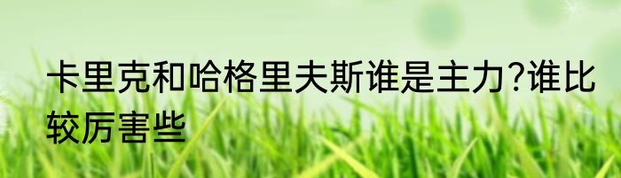 卡里克和哈格里夫斯谁是主力?谁比较厉害些