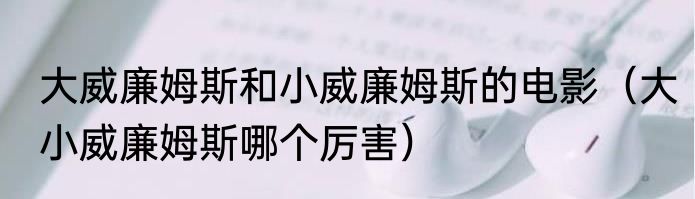 大威廉姆斯和小威廉姆斯的电影（大小威廉姆斯哪个厉害）