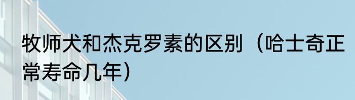 牧师犬和杰克罗素的区别（哈士奇正常寿命几年）