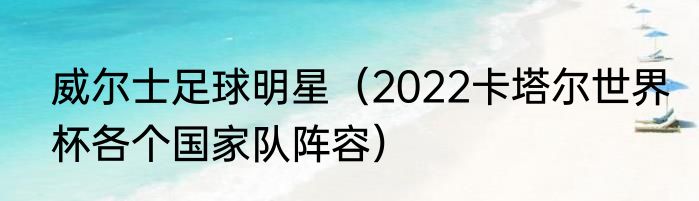 威尔士足球明星（2022卡塔尔世界杯各个国家队阵容）