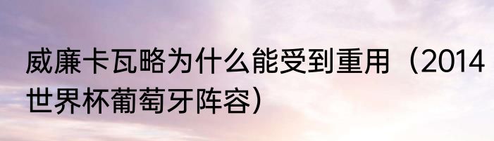 威廉卡瓦略为什么能受到重用（2014世界杯葡萄牙阵容）