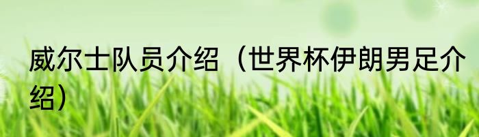 威尔士队员介绍（世界杯伊朗男足介绍）