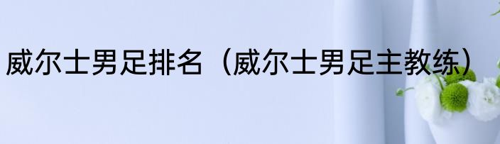 威尔士男足排名（威尔士男足主教练）