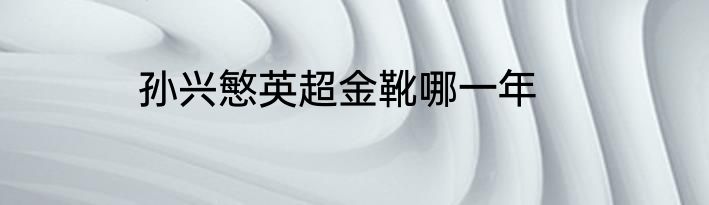 孙兴慜英超金靴哪一年