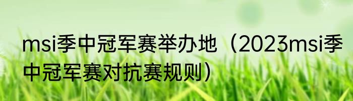 msi季中冠军赛举办地（2023msi季中冠军赛对抗赛规则）