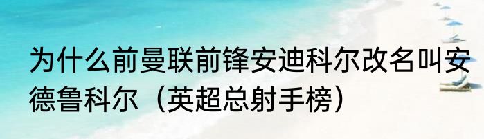 为什么前曼联前锋安迪科尔改名叫安德鲁科尔（英超总射手榜）