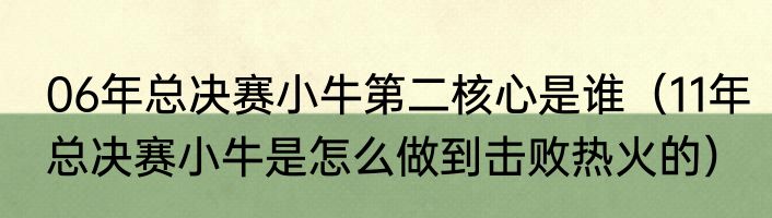 06年总决赛小牛第二核心是谁（11年总决赛小牛是怎么做到击败热火的）