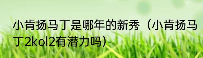 小肯扬马丁是哪年的新秀（小肯扬马丁2kol2有潜力吗）