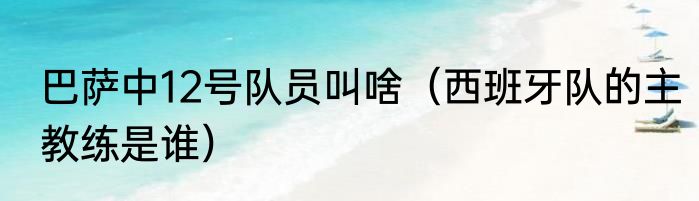 巴萨中12号队员叫啥（西班牙队的主教练是谁）