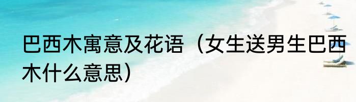 巴西木寓意及花语（女生送男生巴西木什么意思）