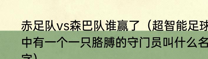赤足队vs森巴队谁赢了（超智能足球中有一个一只胳膊的守门员叫什么名字）