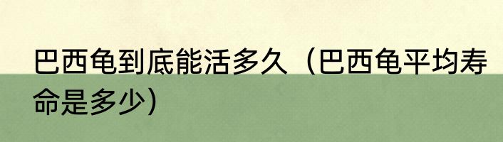 巴西龟到底能活多久（巴西龟平均寿命是多少）